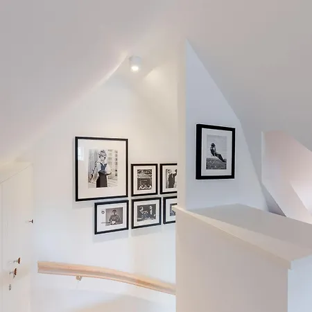 Staeaer Hues *